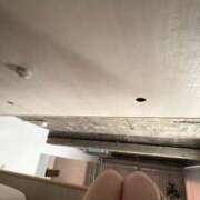 ヒメ日記 2026/05/14 08:53 投稿 るみ ダイスキ