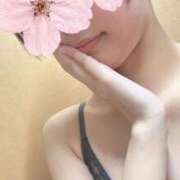 ヒメ日記 2026/04/08 23:48 投稿 りく 素人アロマエステ東京密着ROOM 渋谷店