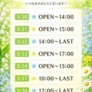 月見　うさぎ 5月残り🤲 Barubola