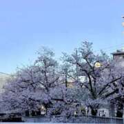 ヒメ日記 2026/04/05 17:50 投稿 松本れいな やみつきエステ錦糸町店