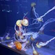 ヒメ日記 2026/04/15 23:48 投稿 松本れいな やみつきエステ錦糸町店