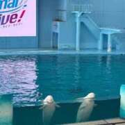 ヒメ日記 2026/07/13 13:35 投稿 二宮めい Barubola