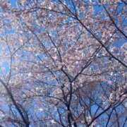 ヒメ日記 2026/04/09 20:29 投稿 真田 みやび Barubola