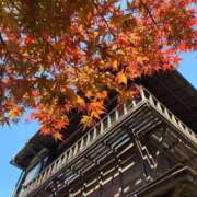 ヒメ日記 2026/04/12 14:29 投稿 白雪 みあ Barubola