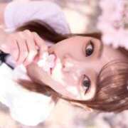 ヒメ日記 2026/04/10 09:29 投稿 仲川 せいら Barubola