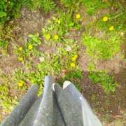 ヒメ日記 2026/04/18 17:14 投稿 みゆ 出会い系人妻ネットワーク 上野〜大塚編