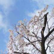 ヒメ日記 2026/04/30 12:04 投稿 みゆ 出会い系人妻ネットワーク 上野〜大塚編