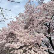 ヒメ日記 2026/04/14 22:49 投稿 椎名 まこ Barubola