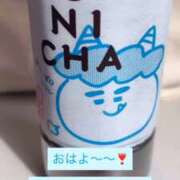 ヒメ日記 2026/04/24 09:29 投稿 椎名 まこ Barubola