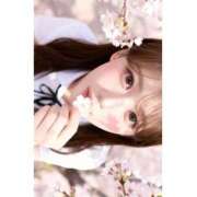 ヒメ日記 2026/04/14 08:19 投稿 一乃宮 ななみ Barubola