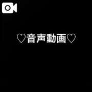 ヒメ日記 2026/04/22 09:19 投稿 一乃宮 ななみ Barubola