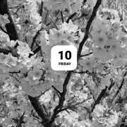 ヒメ日記 2026/04/10 16:12 投稿 岩田ルリ 五十路マダム 愛されたい熟女たち 高松店