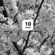 ヒメ日記 2026/04/11 10:02 投稿 岩田ルリ 五十路マダム 愛されたい熟女たち 高松店