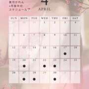 ヒメ日記 2026/04/15 21:03 投稿 美月 かれん Barubola