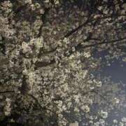 ヒメ日記 2026/04/10 22:49 投稿 青山 ありす Barubola