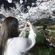 ヒメ日記 2026/04/07 09:14 投稿 こころ デブっ娘倶楽部