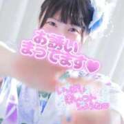 ヒメ日記 2026/08/19 08:52 投稿 もも TALENT（タレント）