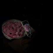 ヒメ日記 2026/04/02 20:50 投稿 七森 奏 CASA BIANCA（カーサ・ビアンカ）