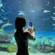 ヒメ日記 2026/04/16 12:04 投稿 ゆき Aromaスク水女学院