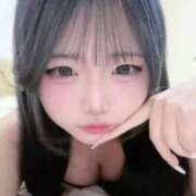 ヒメ日記 2026/04/02 14:46 投稿 あるる IRIS(岐阜)