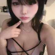 ヒメ日記 2026/04/06 16:06 投稿 あるる IRIS(岐阜)