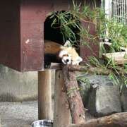 ヒメ日記 2026/07/10 11:38 投稿 らい 白金プラチナ(ユメオト)
