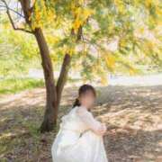 ヒメ日記 2026/04/23 18:56 投稿 さき★才色兼備×高学歴な神美女 Bell～S級美女お姉様・人妻デリヘル～