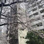 ヒメ日記 2026/05/26 09:42 投稿 さき★才色兼備×高学歴な神美女 Bell～S級美女お姉様・人妻デリヘル～