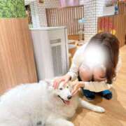 ヒメ日記 2026/05/27 09:13 投稿 さき★才色兼備×高学歴な神美女 Bell～S級美女お姉様・人妻デリヘル～