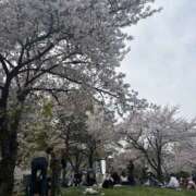 ヒメ日記 2026/04/13 02:42 投稿 一番星/イチバンボシ・極嬢 Platinum Legend(プラチナムレジェンド)