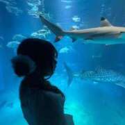 ヒメ日記 2026/04/15 08:39 投稿 なのは【優等生】 舐めたくてグループ〜ペロンチョ学園〜八王子校