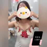 ヒメ日記 2026/09/29 14:21 投稿 るい キラーボール55