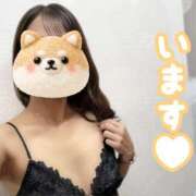 ヒメ日記 2026/09/29 18:51 投稿 るい キラーボール55