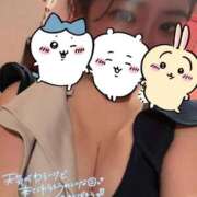 ヒメ日記 2026/04/07 11:39 投稿 めろん 人妻の蜜