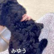 ヒメ日記 2026/04/20 22:02 投稿 上田　みゆう ソープランド蜜 人妻・美熟女専門店