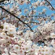 ヒメ日記 2026/04/23 17:40 投稿 上田　みゆう ソープランド蜜 人妻・美熟女専門店