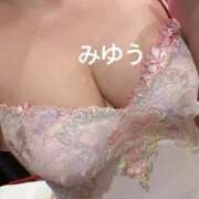 ヒメ日記 2026/04/24 21:44 投稿 上田　みゆう ソープランド蜜 人妻・美熟女専門店