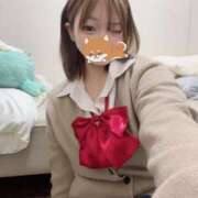 ヒメ日記 2026/04/05 12:20 投稿 ことり ZERO