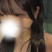 ヒメ日記 2026/04/08 08:22 投稿 ことり ZERO