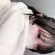 ヒメ日記 2026/04/08 11:29 投稿 ことり ZERO