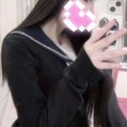 ヒメ日記 2026/04/08 11:30 投稿 ことり ZERO