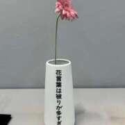ヒメ日記 2026/08/07 13:09 投稿 えりさ もしも優しいお姉さんが本気になったら...横浜店