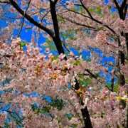 ヒメ日記 2026/04/09 22:19 投稿 あかり ソープランド AQUA（アクア）