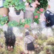ヒメ日記 2026/05/10 15:58 投稿 ひより ソープランド AQUA（アクア）