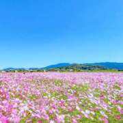 ヒメ日記 2026/04/02 14:03 投稿 りりか 横浜ハッピーマットパラダイス