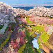 ヒメ日記 2026/04/14 08:43 投稿 りりか 横浜ハッピーマットパラダイス