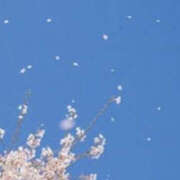 ヒメ日記 2026/04/09 10:00 投稿 さゆり YESグループ　華女