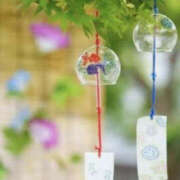ヒメ日記 2026/08/01 13:00 投稿 さゆり YESグループ　華女