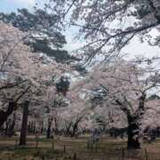 ヒメ日記 2026/04/05 11:40 投稿 ひろ 奥鉄オクテツ東京店（デリヘル市場）