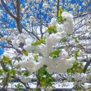 高橋　まゆ これから宜しくお願いします ミセス・レヴォアール～再会～